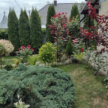 Casa Mamei Suceava Phòng bức ảnh