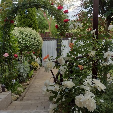 Casa Mamei Suceava Ngoại thất bức ảnh