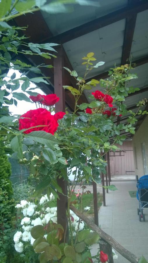 Casa Mamei Suceava Ngoại thất bức ảnh