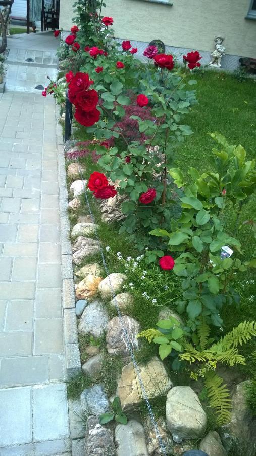 Casa Mamei Suceava Ngoại thất bức ảnh