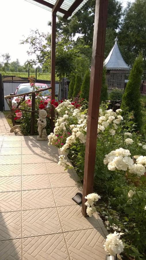 Casa Mamei Suceava Ngoại thất bức ảnh