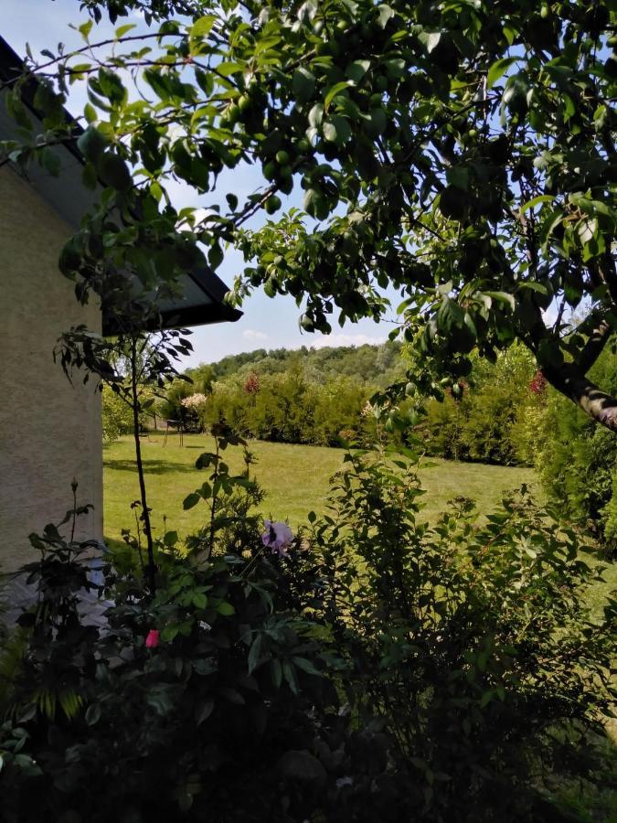 Casa Mamei Suceava Ngoại thất bức ảnh