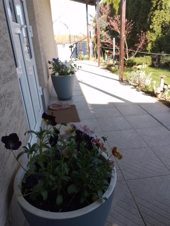 Casa Mamei Suceava Ngoại thất bức ảnh