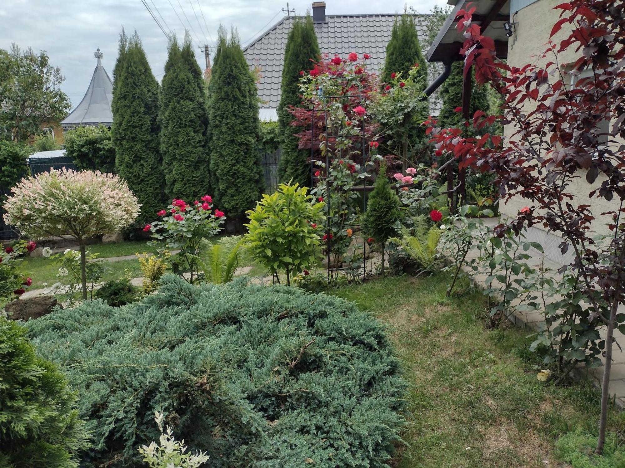 Casa Mamei Suceava Phòng bức ảnh